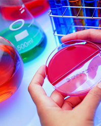 純水性金屬絡合染料